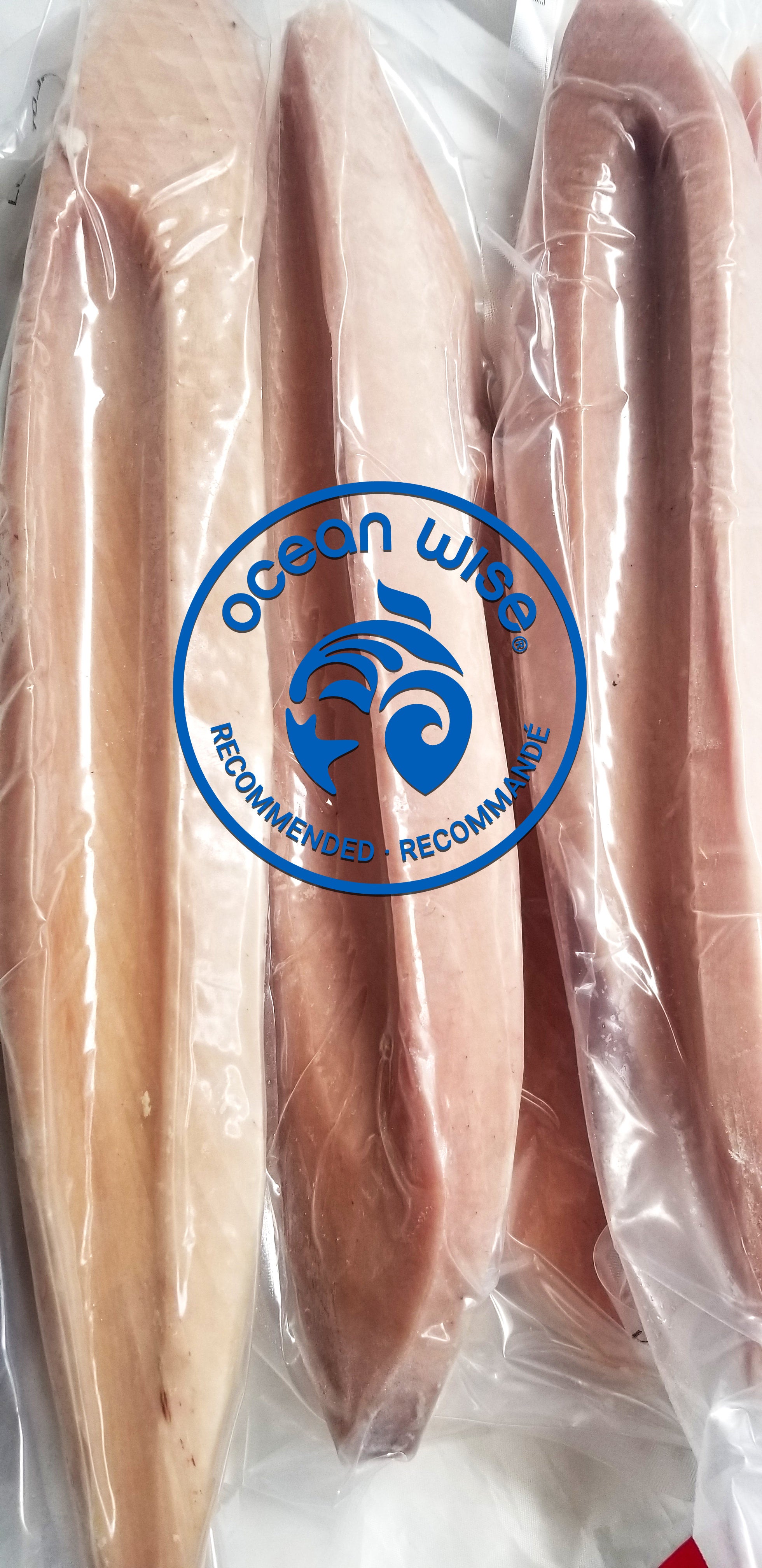 Albacore Tuna Loins * RE-STOCKED | Wild West Coast Seafoods, image size:1960x4032